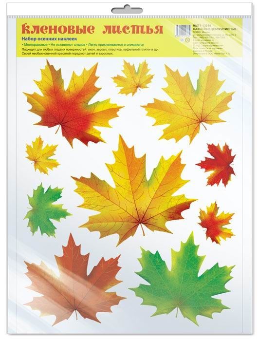 Набор осенних наклеек Творческий Центр СФЕРА Кленовые листья, формат А4, в пакете