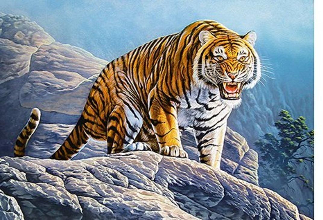 Пазл Castorland Тигр на скалах (B-53346), 500 дет.