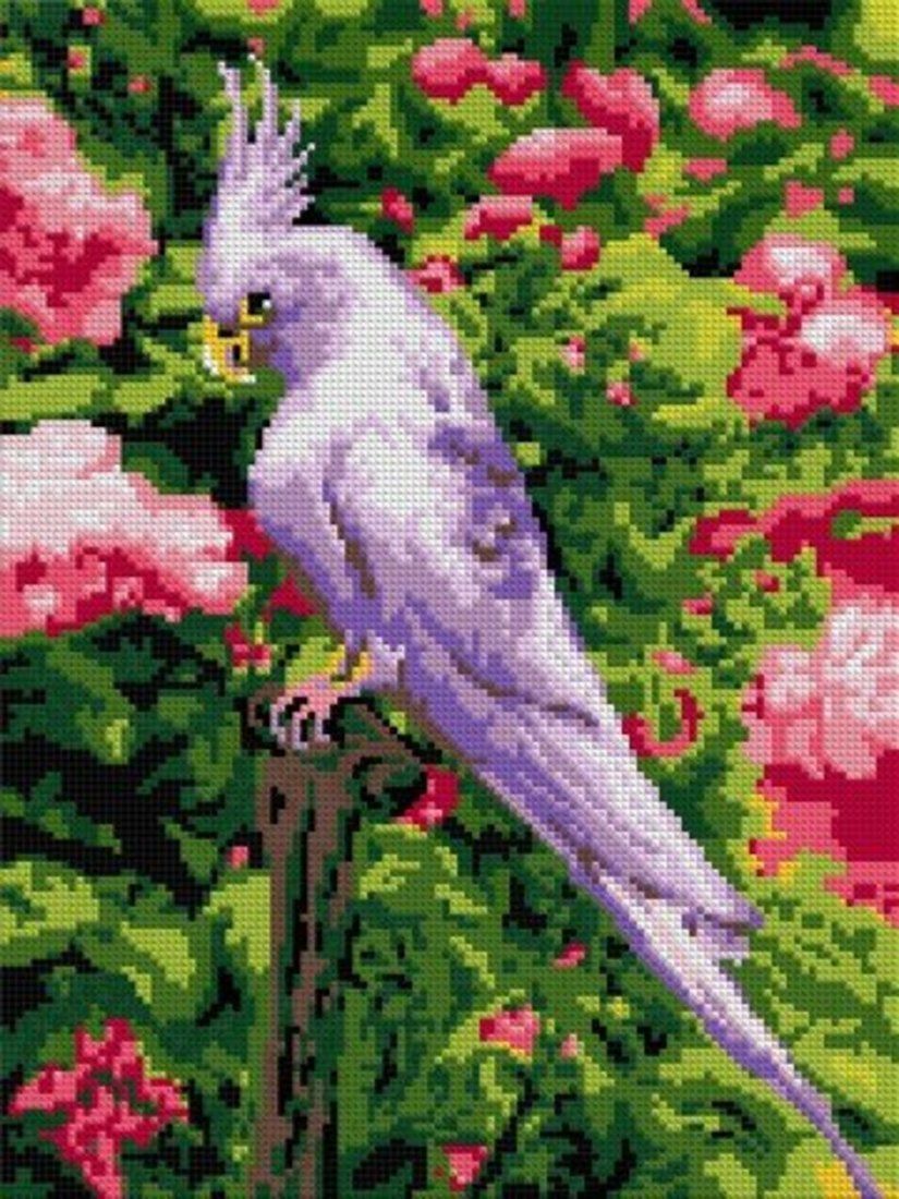 Алмазная мозаика 30 х 40 см Белый попугай (полное заполнение)