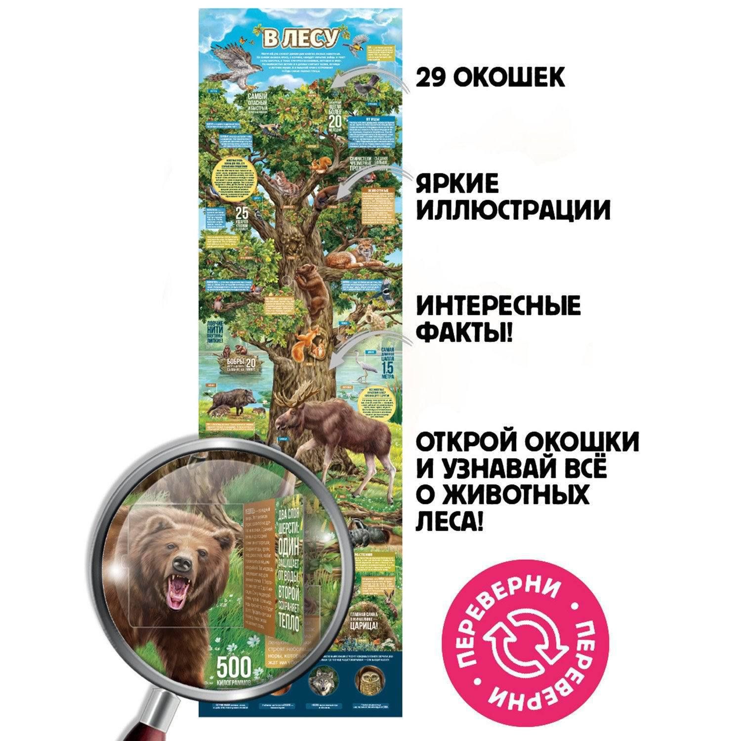 Плакат Malamalama с окошками Секреты леса