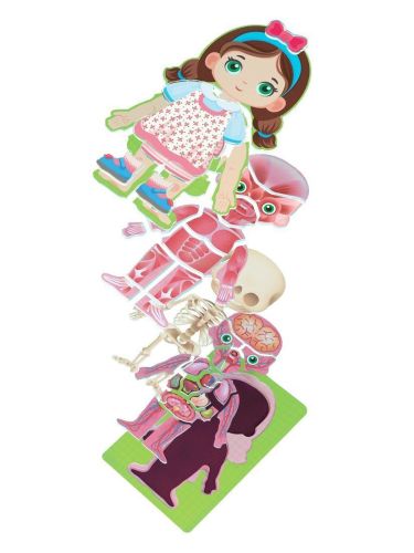 обучающие пазлы 3д для детей on time анатомия девочки 45210 фото 3 Обучающие пазлы 3Д для детей On Time Анатомия девочки 45210 фото 3