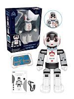 Робот, ИК управление, сенсорное управление, свет, звук (рус.озвуч.), в комплекте встроенный аккум, USB шнур, элементы питания ААА*2шт не входят, коробка, в ассортименте