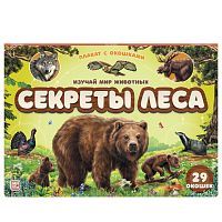 Плакат Malamalama с окошками Секреты леса