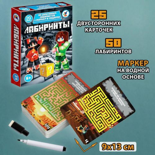 дрофа-медиа iq box. лабиринты от 6 лет фото 2 Дрофа-Медиа IQ Box. Лабиринты от 6 лет фото 2