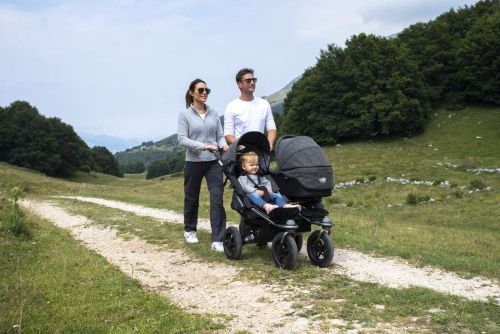 Прогулочная коляска для двойни TFK Twin Adventure 2019 фото 4