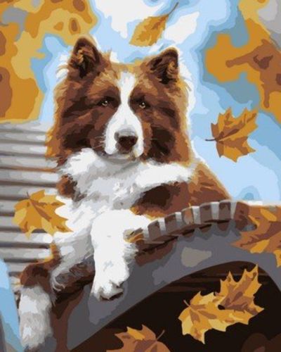 LORI Картина по номерам "Осенний пёс" (Кпн-187)50x40см