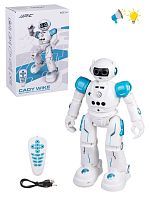 Робот, ИК управление, в комплекте: встроенный аккумулятор, USB шнур, элементы питания АА*2шт. не входят, коробка