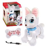 Корги р/у, сенсор, голосовые команды (англ.яз), свет, звук, USB з/у, аккум. 3,7В вх.в компл., эл.пит. АА*2 не вх.в компл., кор.