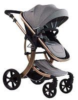 Коляска трансформер Farfello Aimile Gold TG