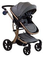 Коляска трансформер Farfello Aimile Gold TGb