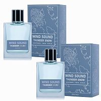 Brocard Т.в. Wind Sound Thunder Snow Снежная Гроза мужcкая 100мл. 2шт