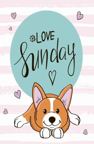 блокнот malamalama позитивного настроения. love sunday Блокнот Malamalama позитивного настроения. LOVE SUNDAY