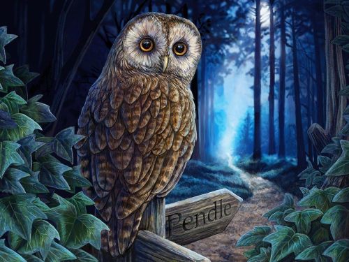 пазл super 3d путь магии, 500 детал. Пазл Super 3D Путь магии, 500 детал.