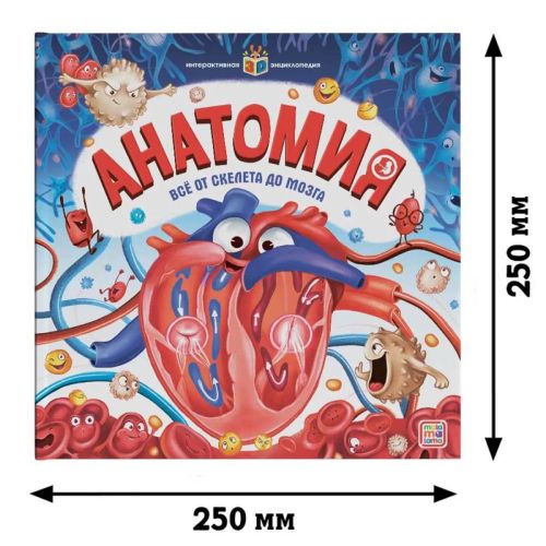 Книга Malamalama Интерактивная энциклопедия. Анатомия фото 4