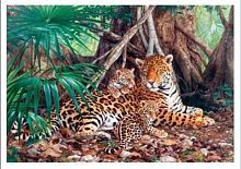 Пазл Castorland Jaguars in the Jungle (C-300280), 3000 дет.