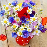 Алмазная мозаика Яркие полевые цветочки, 30х30 см, 22 цв, полн. заполнение, с подр.