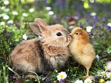 Алмазная мозаика Малыши, 30х40 см, 26 цв, полн. заполнение, с подр.