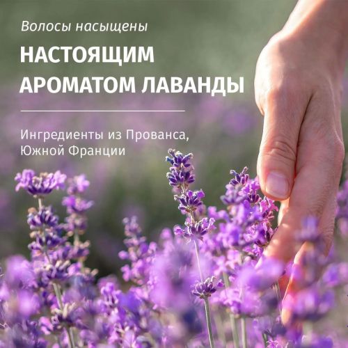хербал эссенсес шампунь 350мл аромат лаванды фото 11 Хербал Эссенсес шампунь 350мл Аромат лаванды фото 11