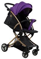Прогулочная коляска Farfello Aimile Summer Gold