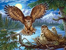 Алмазная мозаика 40х50см (класс.) Семья виргинских филинов (с подрамником и полным заполнением)