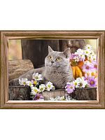 Алмазная мозаика "Британский кот", 40x50 см (с подрамником, с частичным заполнением)