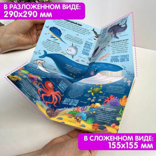 книга malamalama книжка-трансформер. животные фото 4 Книга Malamalama Книжка-трансформер. Животные фото 4