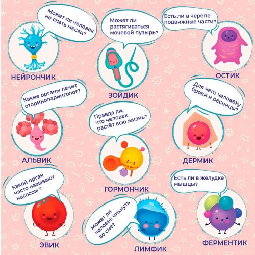 Настольная игра Дрофа-Медиа Викторина Как устроен человек? фото 4