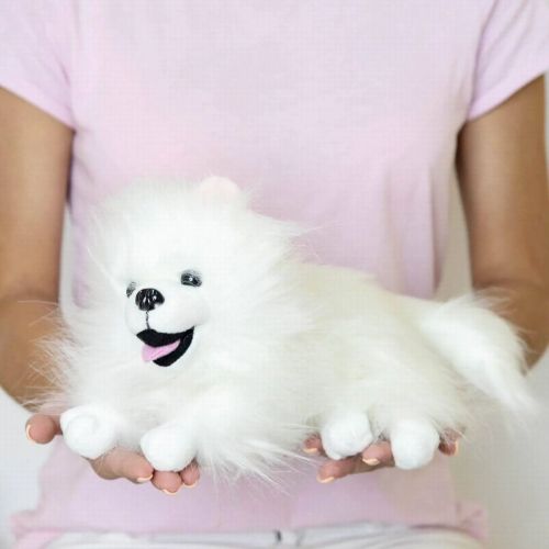 мягкая игрушка abtoys домашние любимцы. белый шпиц, 23 см фото 2 Мягкая игрушка Abtoys Домашние любимцы. Белый шпиц, 23 см фото 2