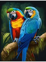Алмазная мозаика Голубые ара, 30х40 см, 28 цв., полн. заполнение, с подр.