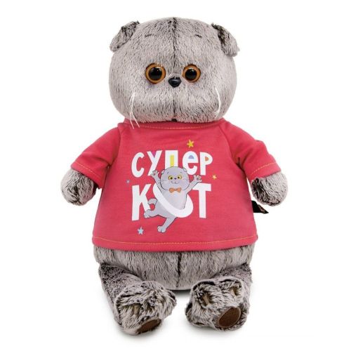 Басик в лонгсливе с принтом Супер кот 22 см