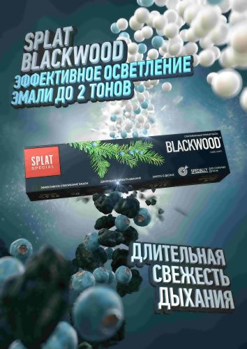 Зубная паста SPLAT Special Черное дерево 75мл фото 2