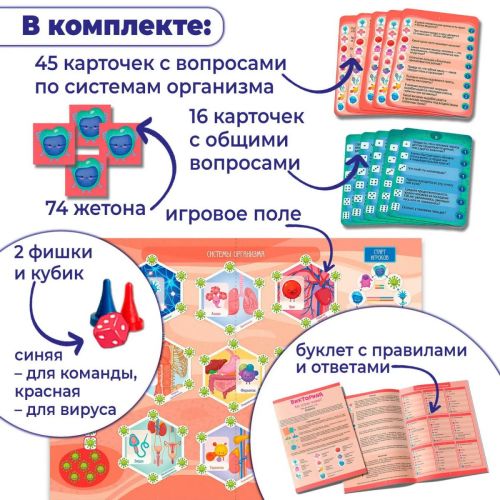 Настольная игра Дрофа-Медиа Викторина Как устроен человек? фото 2