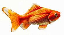 Золотая рыбка 50 см