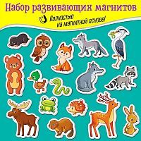 Игры на магнитах Дрофа-Медиа Лесные животные