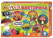 Настольная игра Русский стиль Грибы и ягоды
