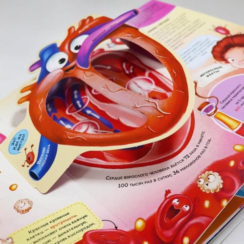 Книга Malamalama Интерактивная энциклопедия. Анатомия фото 3