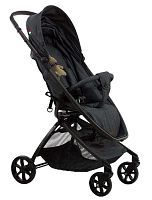 Прогулочная коляска Farfello Airy
