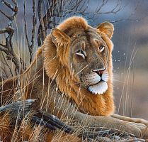 Алмазная мозаика Лев, 20х20 см, 15 цв, полн. заполнение, с подр.