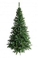 Ель Алтайская, 1,2м