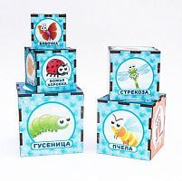 Сортер-пирамидка, Живой мир, 5 куб.