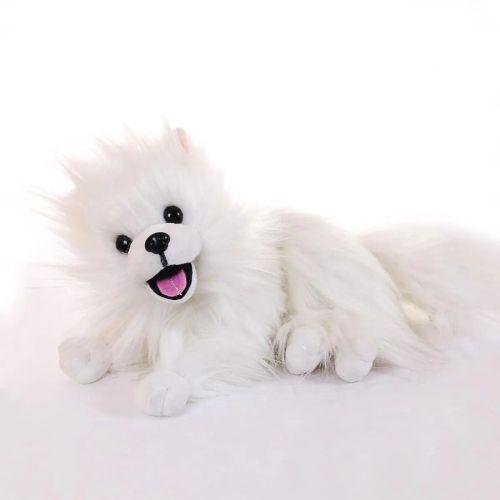 мягкая игрушка abtoys домашние любимцы. белый шпиц, 23 см Мягкая игрушка Abtoys Домашние любимцы. Белый шпиц, 23 см