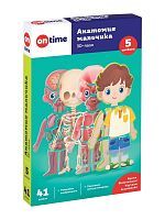 Обучающие пазлы 3Д для детей On Time Анатомия мальчика 45209