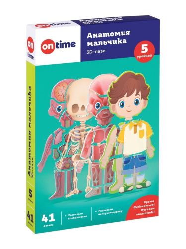 обучающие пазлы 3д для детей on time анатомия мальчика 45209 Обучающие пазлы 3Д для детей On Time Анатомия мальчика 45209