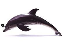 Животное морское дельфин, 47 см, 1 шт., пакет