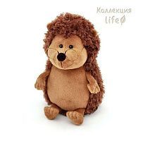 Ёжик Колюнчик в очках 20