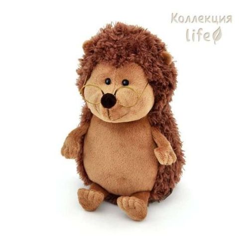 Ёжик Колюнчик в очках 20