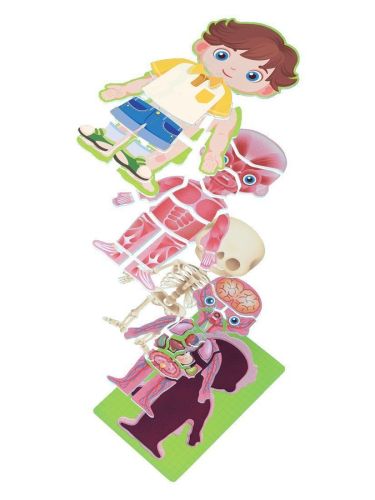 обучающие пазлы 3д для детей on time анатомия мальчика 45209 фото 3 Обучающие пазлы 3Д для детей On Time Анатомия мальчика 45209 фото 3