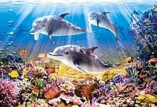 Пазл Castorland Dolphins Underwater (B-52547), 500 дет.