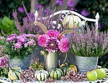 Алмазная мозаика Садовые цветы, 30х40 см, полн. заполнение, с подр.