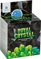 Набор для опытов Intellectico Royal Crystal кристалл зеленый